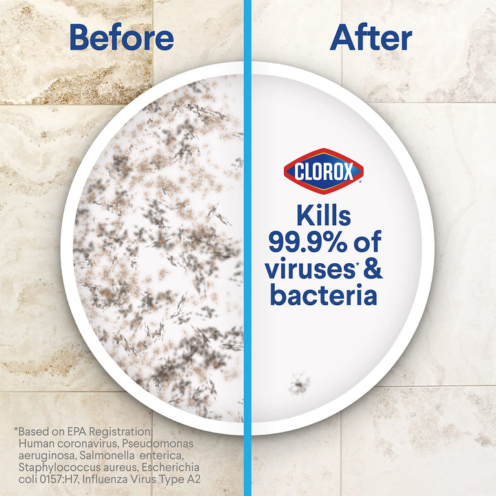 Clorox Disinfecting Wet Mopping Cloths, Rain Clean, 24 Wet Refills (Package May Vary) Retail $18.00