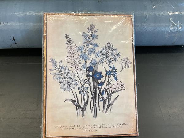 Botanical Print Wall Art - Vintage Floral Illustration Retail $12.00