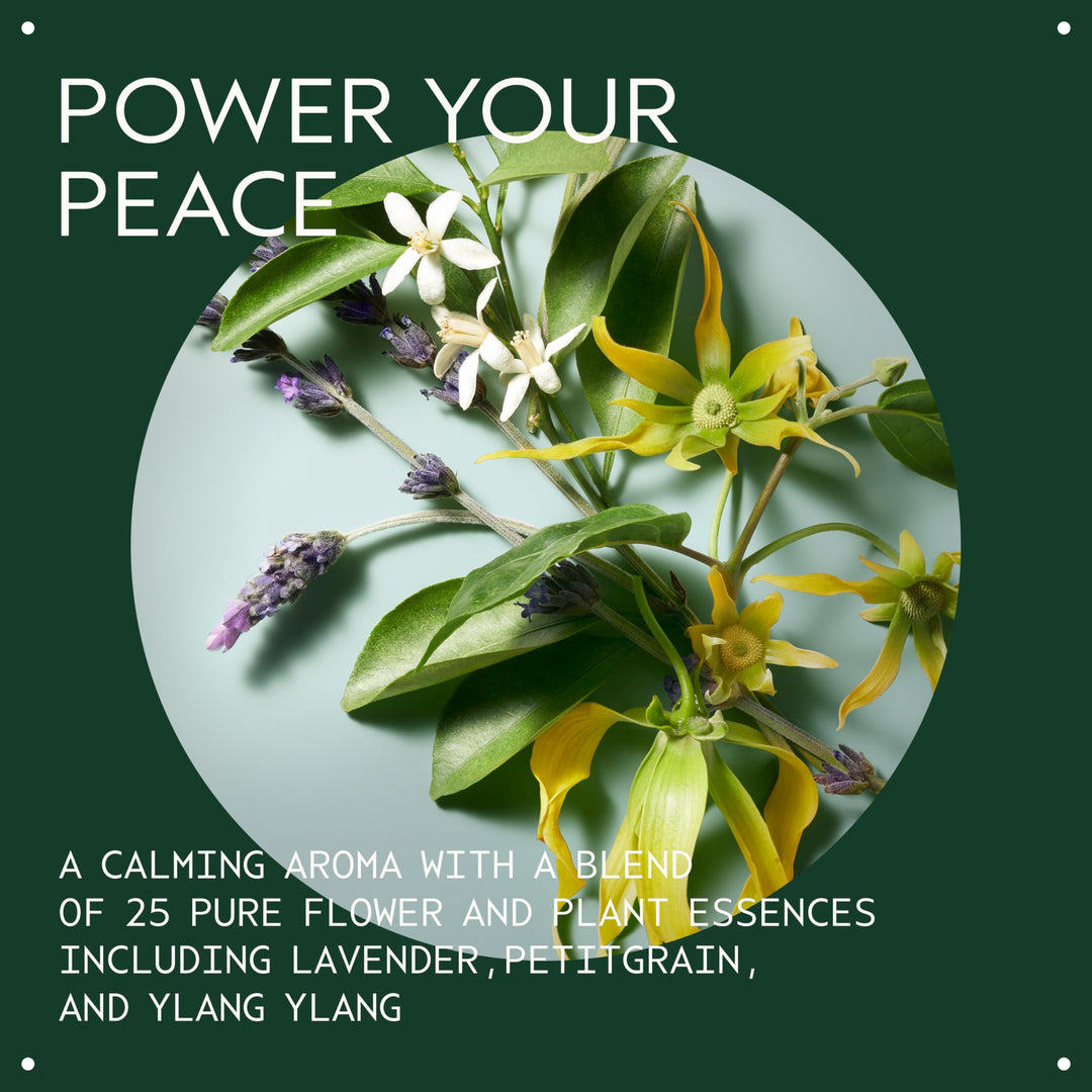 Aveda Shampure Nurturing Shampoo for Fine to Medium Hair | Gently Cleanses Hair | Daily Shampoo | 9% Naturally Derived* | Calming Aroma of Lavender & Ylang Ylang, 8.5 Fl Oz