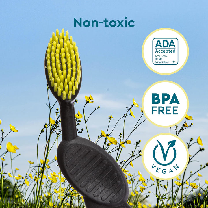Radius Toothbrush, Flex Brush, Soft Bristles, Right Handed, Black Brush with White Bristles, BPA Free & ADA Accepted, Pack of 1 (Package May Vary)