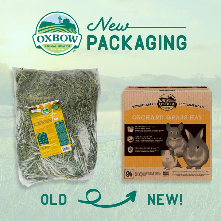 Oxbow Animal Health Orchard Grass Hay - All Natural Grass Hay for Chinchillas, Rabbits, Guinea Pigs, Hamsters & Gerbils - 9 lb. Retail $29.99