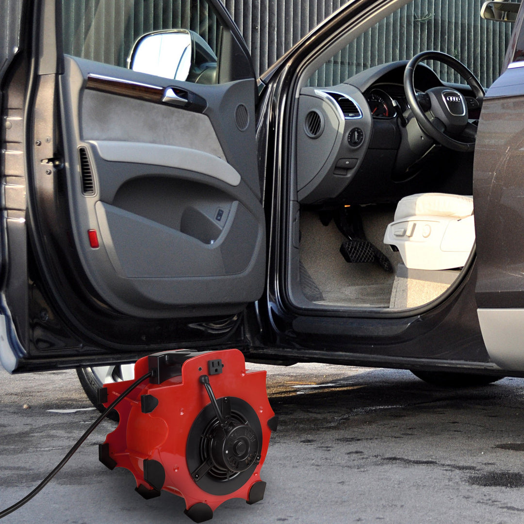 Blower Fan - 3-Speed Heavy-Duty Floor and Carpet Dryer - 1600 watts -Portable Air Mover with 4 Different Angles for Basements, Cars or Garages by Stalwart (Red) Retail $65.10