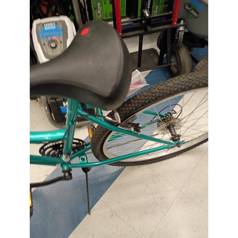 Rock Creek Women's Mountain Bike, Blue, 29-inch