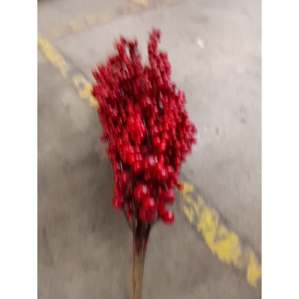 Berry Stems, Red Berries, Floral Supply Retail $15.00