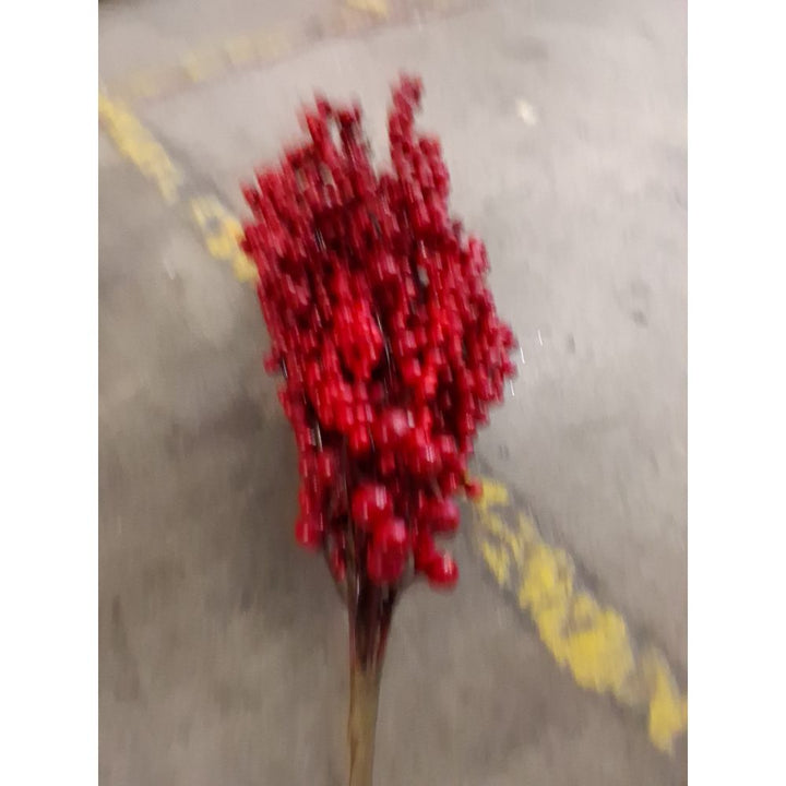 Berry Stems, Red Berries, Floral Supply Retail $15.00