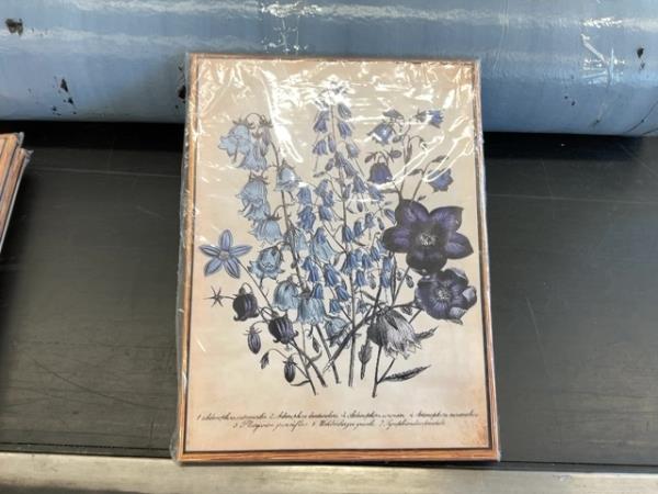 Botanical Print Wall Art - Vintage Floral Illustration Retail $12.00