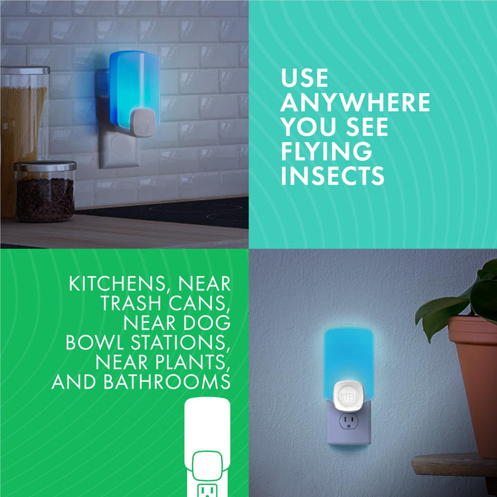 STEM Insect Trap - Indoor Fruit Fly & Gnat Pest Control for House, Home and Kitchen, Attracts & Traps Flying Bugs, Soft Blue Light - Includes 1 Plug-In Device & 1 Cartridge