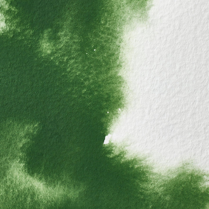 Winsor & Newton Professional Watercolor, 14ml (0.47-oz) Tube, Oxide Of Chromium Retail $18.00