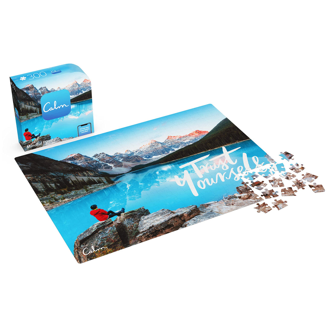 SPIN MASTER GAMES Spin Master 300-Piece Calm Jigsaw Puzzle for Relaxation, Stress Relief, and Mood Elevation, for Adults and Kids Ages 8 and up, Trust Yourself Retail $12.00