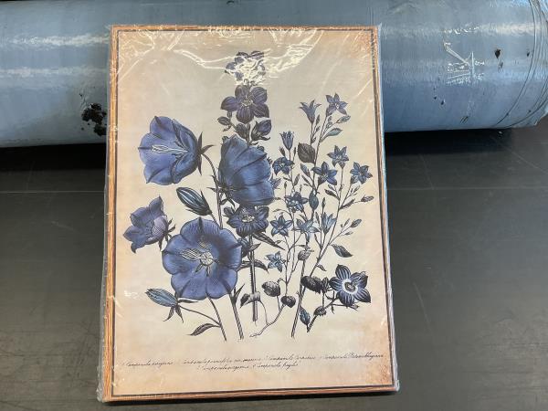 Botanical Print Wall Art - Vintage Floral Illustration Retail $12.00