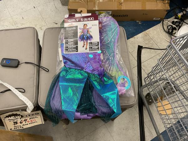 Girls dragonfly costume(s)