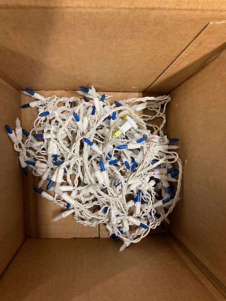 Blue and white Christmas lights Retail $11.20