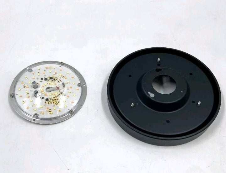 Globe Electric DAYTON 52" Indoor Smart Ceiling Fan 5971299