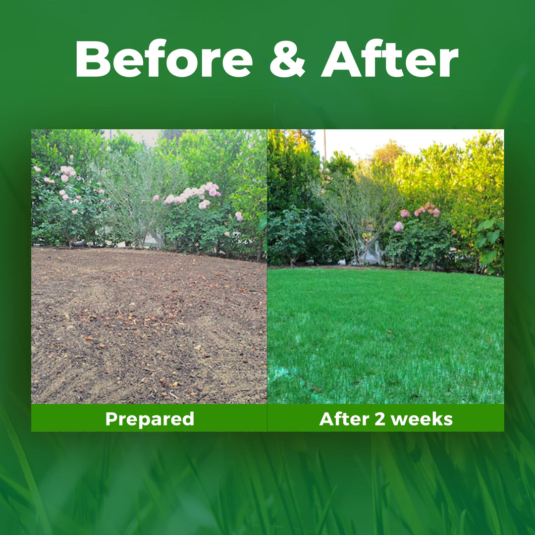 Growtrax Biodegradable Grass Seed Mat, Year Round Green - 50 Sq Ft Quick Fix Roll - Growing Solution for Lawns, Dog Patches and Shade - Just Roll Water & Grow -Not Fake or Artificial Grass
