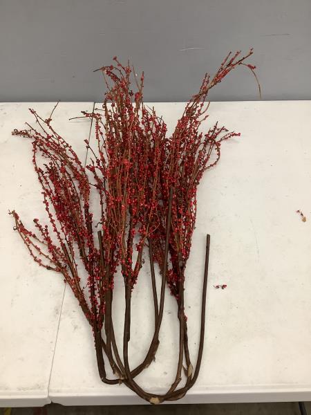 5 piece Artificial Red Berry Branches - Decorative Floral Stems Retail $9.99