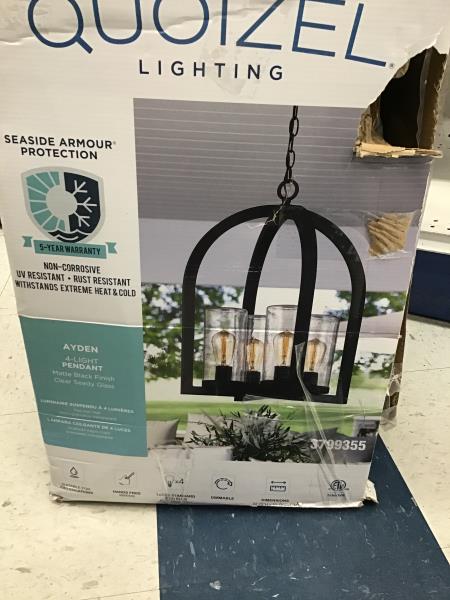 Quoizel AYDEN 4-Light Pendant, Matte Black Finish, Clear Seedy Glass Retail $250.00