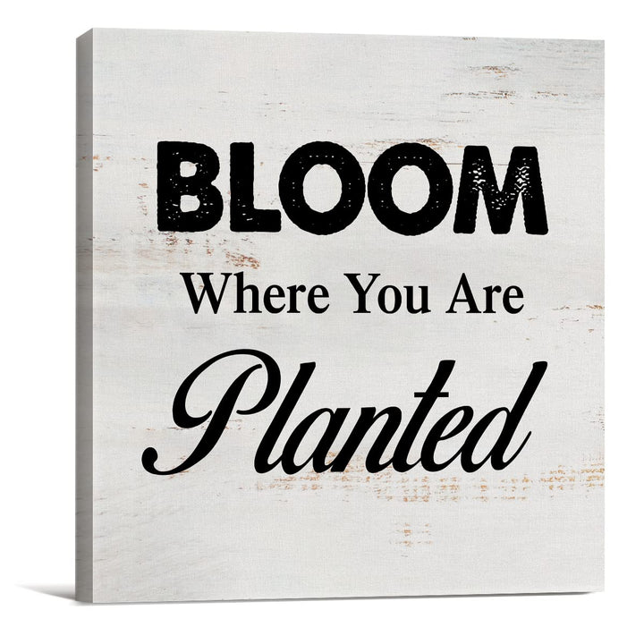 Bloom Where You are Planted Sign Canvas Wall Art Home Decor 8 x 8 Inch Farmhouse Canvas Print Painting Framed Plaque Rustic Desk Shelf Art